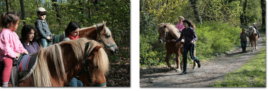 Therapeutisches Reiten mit Kindern